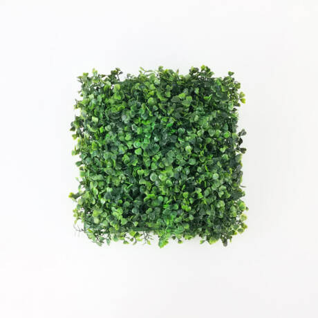 Placa de Buxinho Jardim Vertical Artificial (25x25cm)