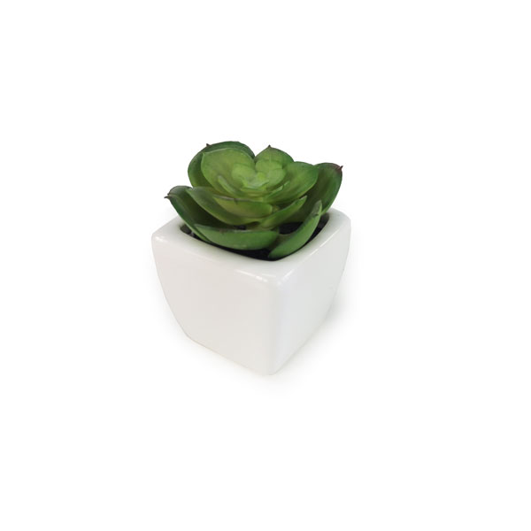 Vasinho de Suculenta Mini Artificial (7cm) - Imagem 6