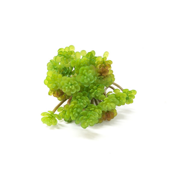 Araucaria Suculenta Artificial (13cm) - Imagem 4