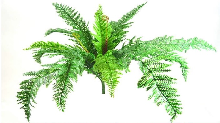 Samambaia artificial X12 (50cm) - Imagem 2