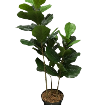 Ficus Lyrata Árvore Artificial (1,20m)