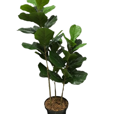 Ficus Lyrata Árvore Artificial (1,20m)