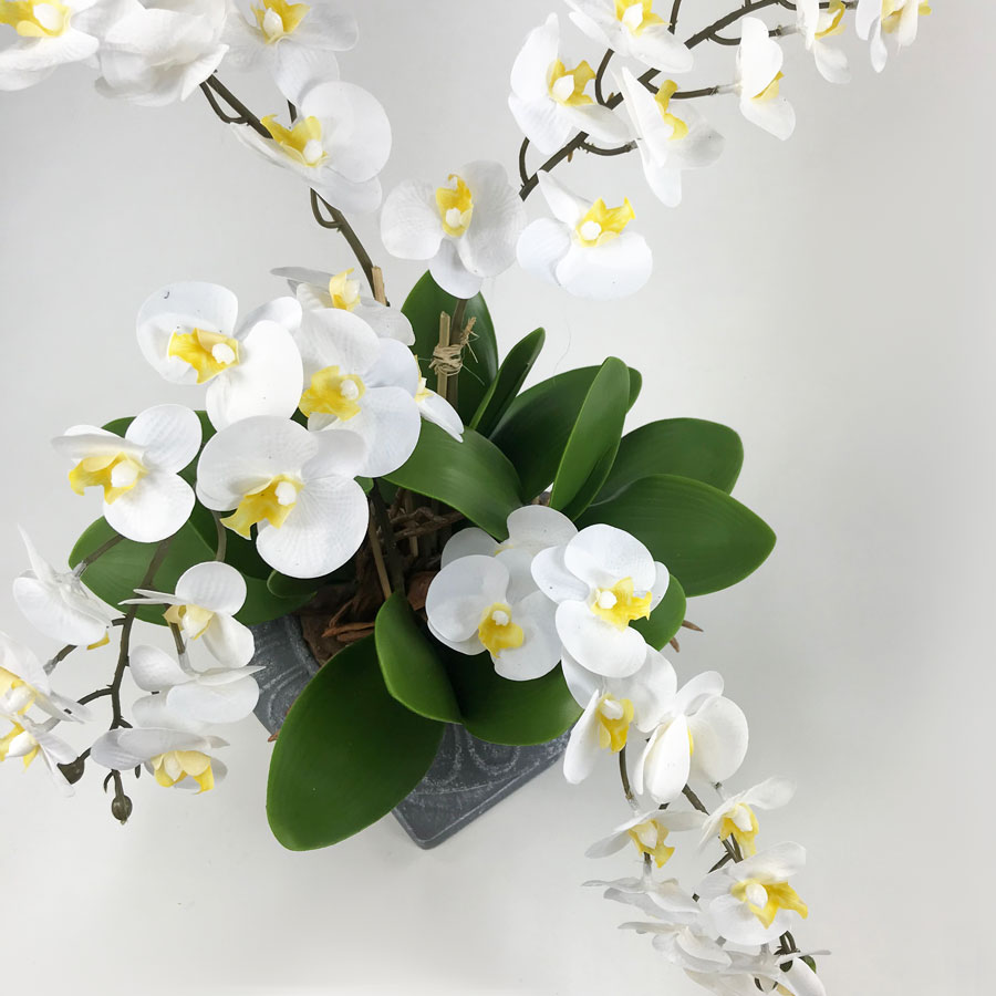 Arranjo de Orquídea em Vaso Deco (50cm) - Imagem 3