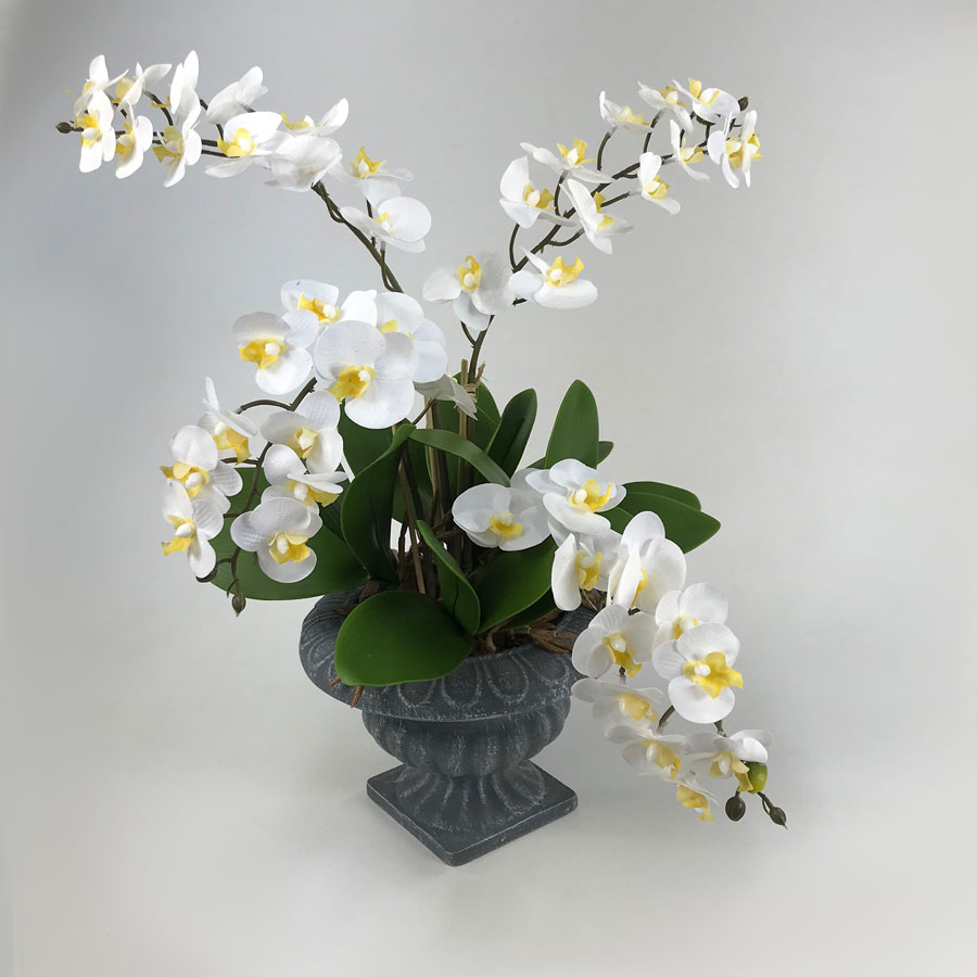 Arranjo de Orquídea em Vaso Deco (50cm) - Imagem 4