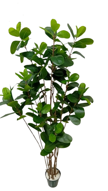 Ficus elástica verde artificial 1,80m - Imagem 2