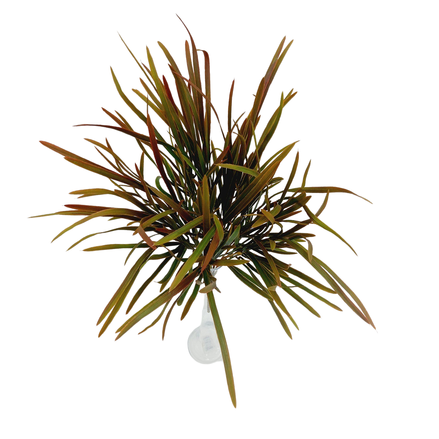 Buque Capim Folhagem Artificial 9H (60cm) - Imagem 7