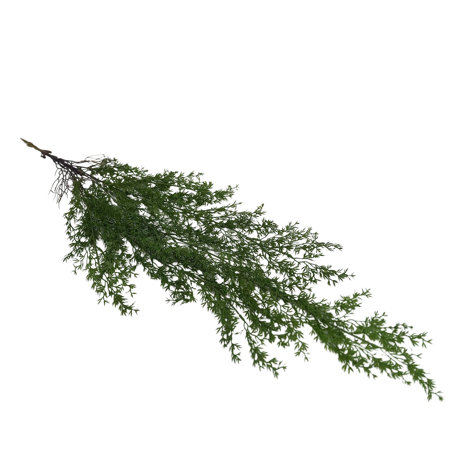 Alecrim Folhagem Pentente (110cm) - Imagem 6