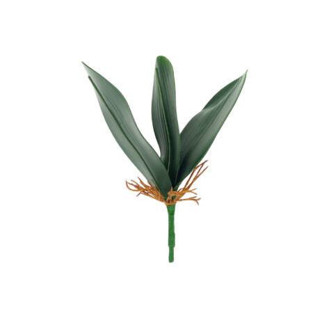 Folha de Orquídea Borboleta 3 Folhas (23cm)
