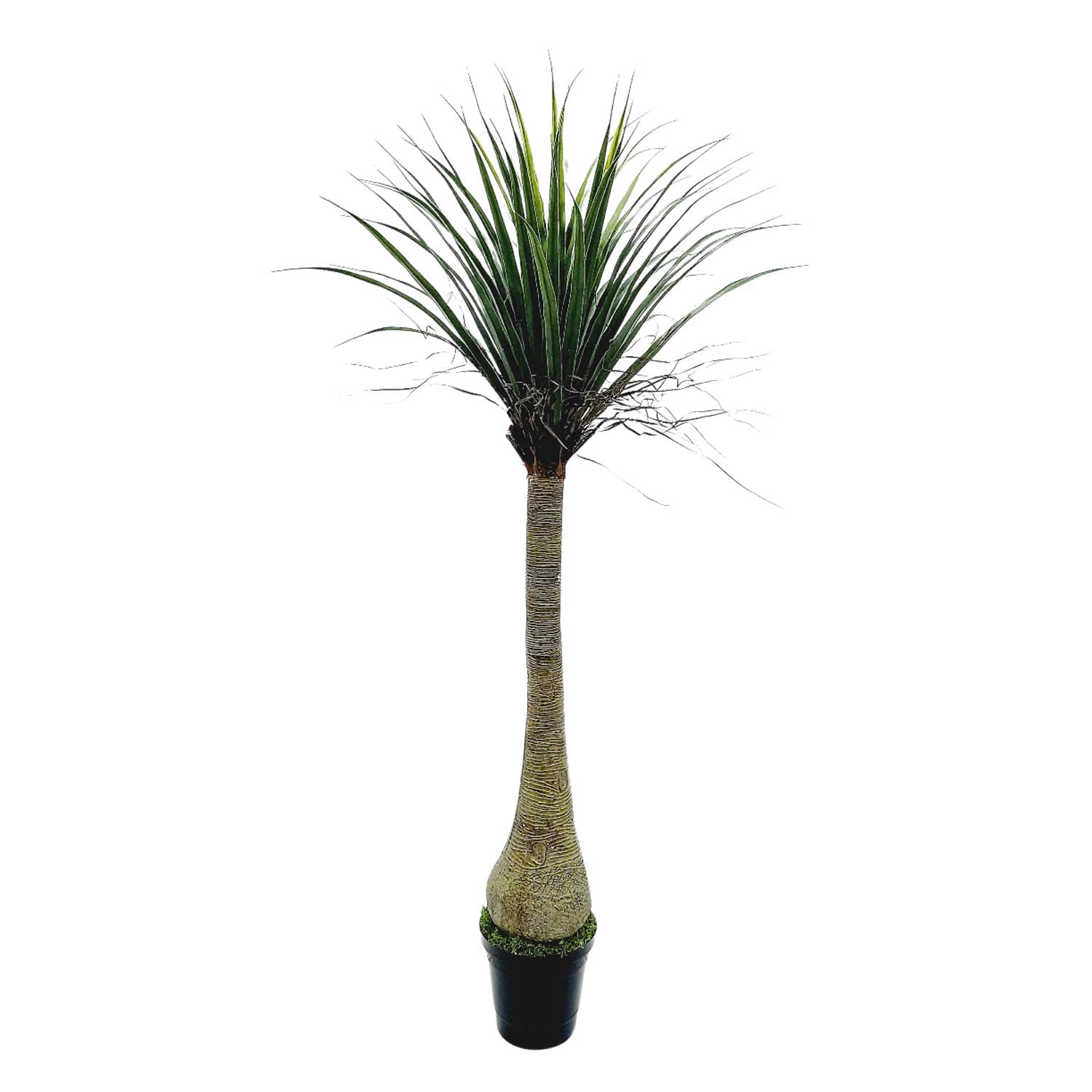 Pata de Elefante 61 Folhas Árvore Artificial (1,20CM) Verde