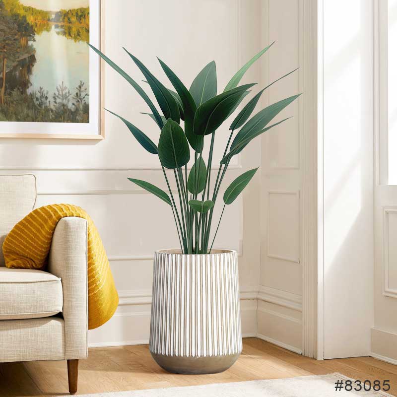 Strelitzia Arbusto (1,10m) - Imagem 8